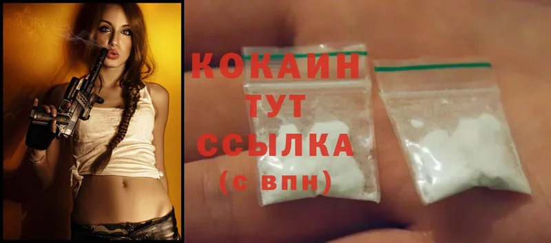 Cocaine Эквадор  мега ТОР  Олонец 